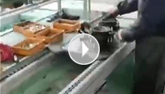 辰力手拉葫蘆車間，手拉葫蘆流水作業(yè)中